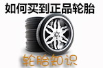 米其林