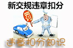 高速上违章要去哪里处理