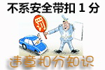 南京交通违章多久能查