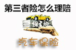第三者险