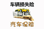 车辆损失险