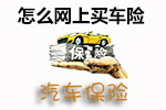 网上购险