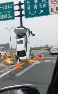 1568551584318825.gif 1.gif