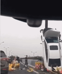 1568551587616998.gif 2.gif