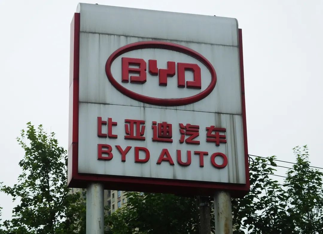 783.jpg