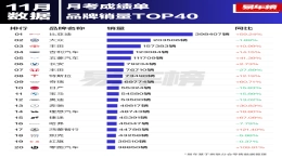 11月国内品牌销量榜，比亚迪超大众丰田总和