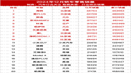 2024年12月轿车零售销量