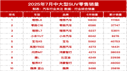中大型SUV销量榜出炉，小米YU7首月销量公布