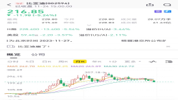 终端市场优惠！比亚迪股价创年内新低