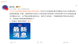 网络不是法外之地！多个汽车账号被处置