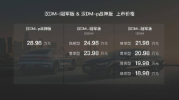 汉DM-i冠军版、汉DM-p战神版双剑合璧，油电同价巅峰上市！