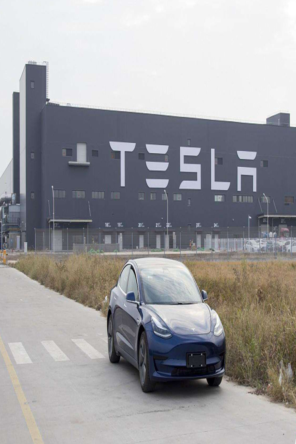 打残国内电动品牌？特斯拉国产Model 3 5月销量又破万