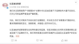 赔偿500万！比亚迪起诉某博主