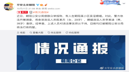 某国际音乐家违法被抓，多汽车品牌受牵连