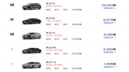 大型增程SUV！奇瑞风云T11盲订