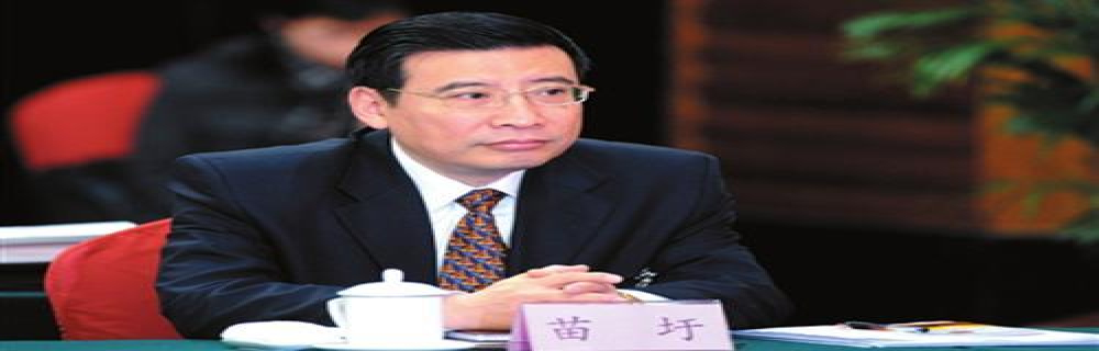 工信部苗圩：要坚持发展新能源汽车的国家战略不动摇