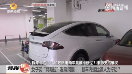 80万新买特斯拉，前盖缝隙竟能放下手指？车主疑是维修车