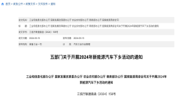 新一轮新能源汽车下乡，比亚迪成最大赢家