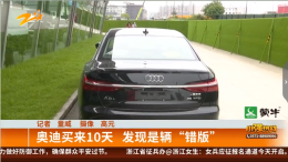 新买的奥迪是“错版”车？ 车主怀疑：销售前出过事故
