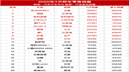 2025年轿车零售销量榜