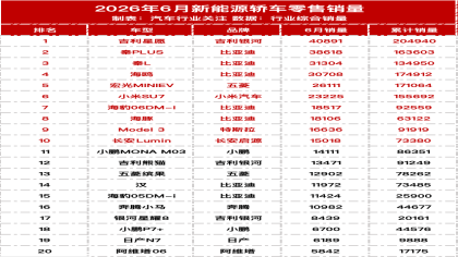 2025年6月新能源轿车/SUV零售销量榜