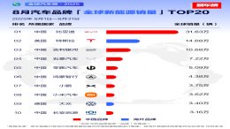 8月汽车品牌全球新能源销量