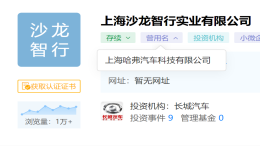 沙龙？长城汽车高端新能源品牌实体公司刚刚成立