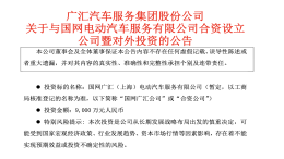 广汇与国网总投资1.8亿合资成立公司，服务新能源后市场