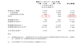 宝沃拖累？神州租车2019年净利润锐减90%