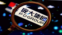 庞庆华让渡商业巨头合助，重组庞大前景光明