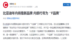 比亚迪年内将推全新品牌，内部代号为“F 品牌”