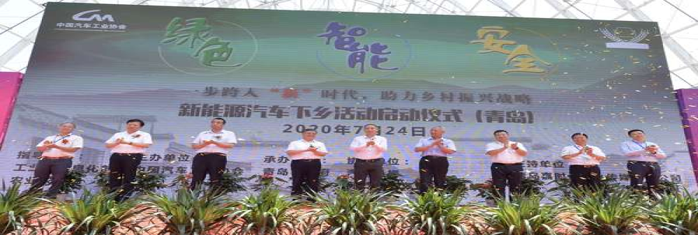 多款低端电动车参与，新能源汽车下乡活动正式启动了