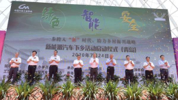多款低端电动车参与，新能源汽车下乡活动正式启动了