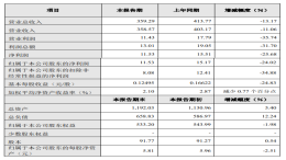 上半年净利润下滑24%，长城汽车质问“如何挺过明年”