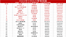 2024年11月SUV零售销量榜