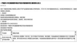 红旗超跑S108项目发布 要有开发布加迪等经验才可！