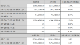 半年报：比亚迪实现营业收入605.03亿元，净利润16.62亿元