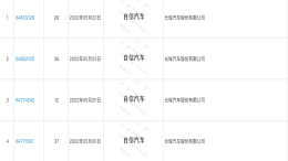 自信汽车？长城汽车或推出超豪华品牌