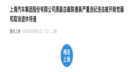 突发！上汽原副总裁被开除党籍