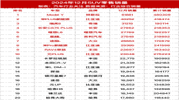 2024年12月SUV零售销量榜