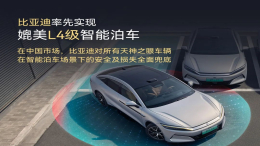 智能泊车出事车企全赔？比亚迪发布