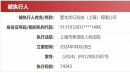 烧光百亿元！某车企被列为失信被执行人