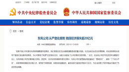 东风公司处分210人，48家供应商纳入“黑名单”