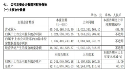 扭亏为盈!赛力斯上半年财报公布