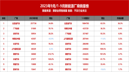 9月新能源厂商销量榜！