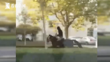 男子骑马追尾轿车发生事故，男子骑马追尾轿车是怎么回事？