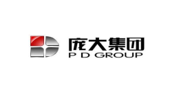 庞大集团否认被深商控股集团重组，法院尚未受理重整申请