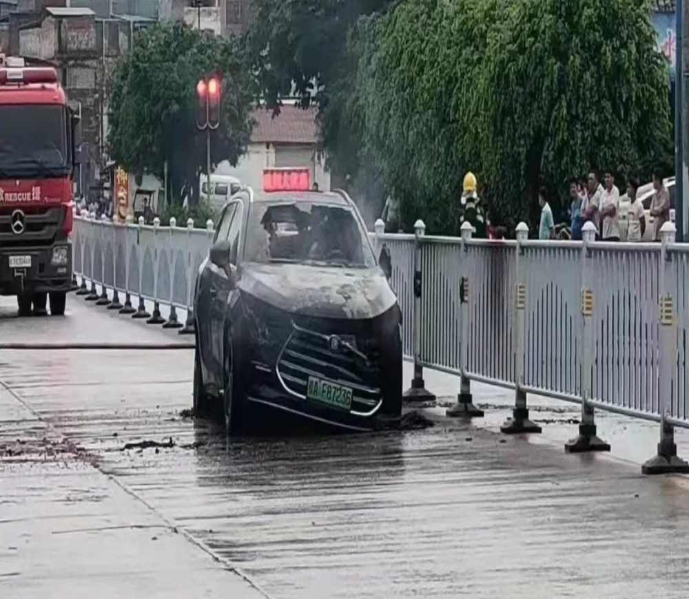 突然！一天两款新能源车起火