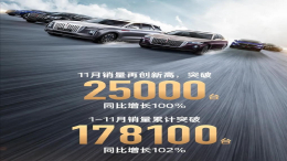 11月汽车销量数据，红旗品牌11月销量2.5万台同比增长100%