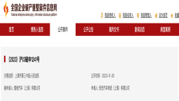 某新势力上海公司被申请破产！
